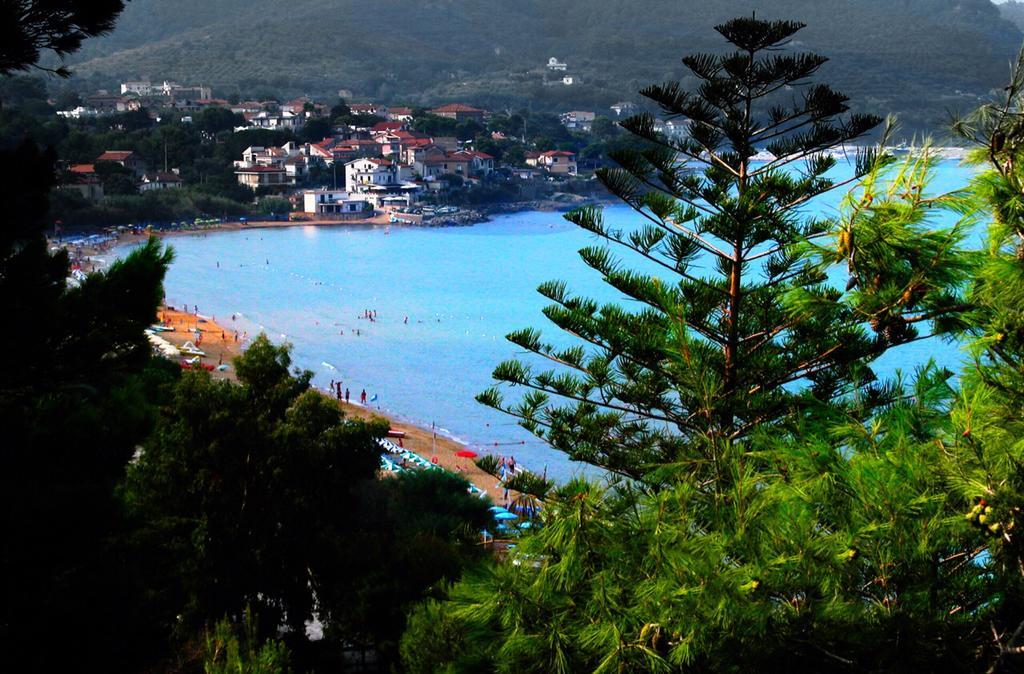 Villa Laura Sea View Apartments Santa Maria di Castellabate Bagian luar foto