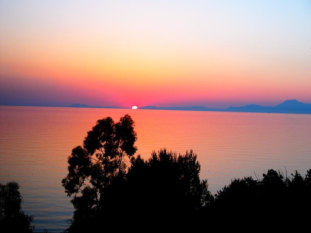 Villa Laura Sea View Apartments Santa Maria di Castellabate Bagian luar foto