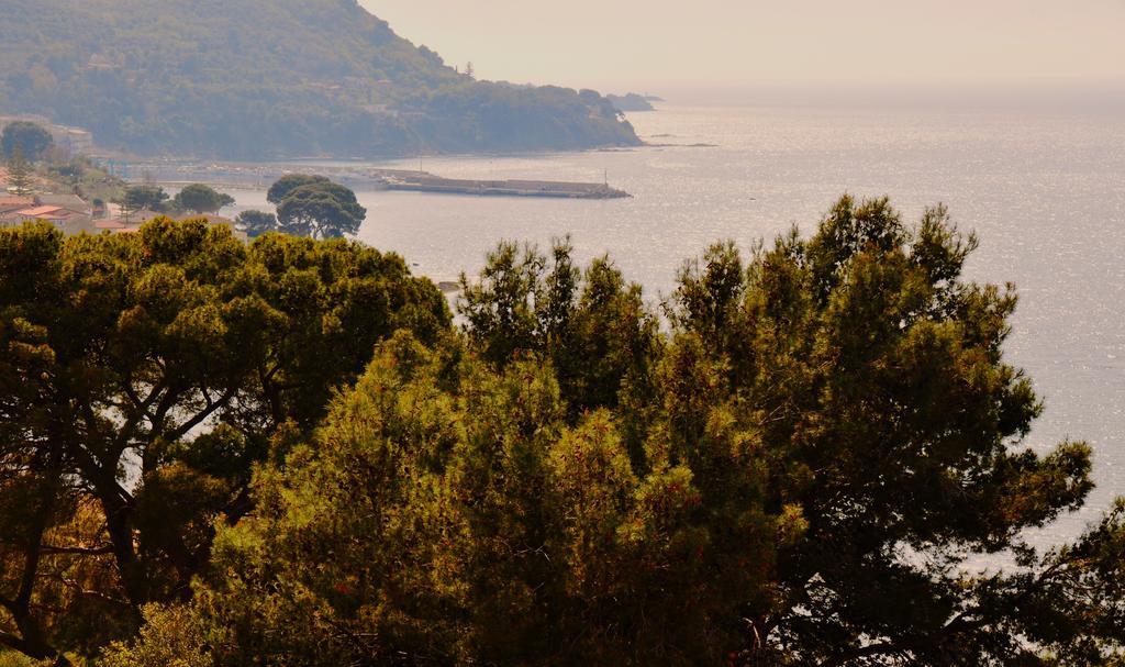 Villa Laura Sea View Apartments Santa Maria di Castellabate Bagian luar foto